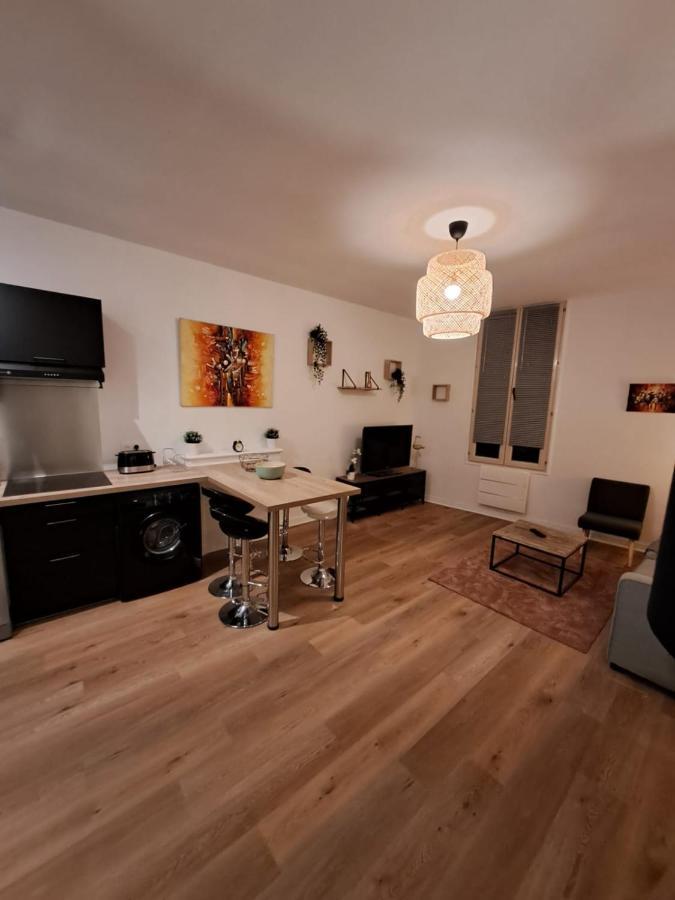 Le Saint Jean , Centre Historique, Wifi, Tout Equipe, Ideal Famille, Business, Ou Simple Escapade Niort Bagian luar foto