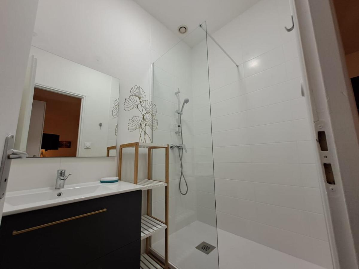 Le Saint Jean , Centre Historique, Wifi, Tout Equipe, Ideal Famille, Business, Ou Simple Escapade Niort Bagian luar foto